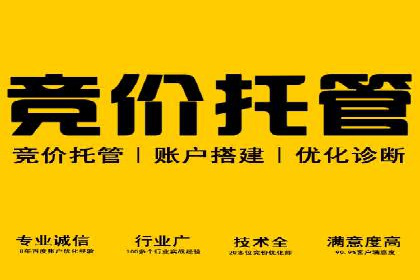 SEM代运营服务公司案例分析：数据驱动营销策略